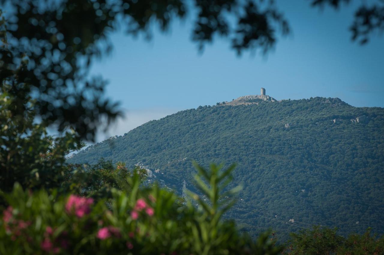 Camping La Plage Argeles Экстерьер фото